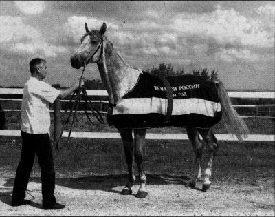 Пастбища в рязанском селе, огороженные электропастухами, выглядят красочно